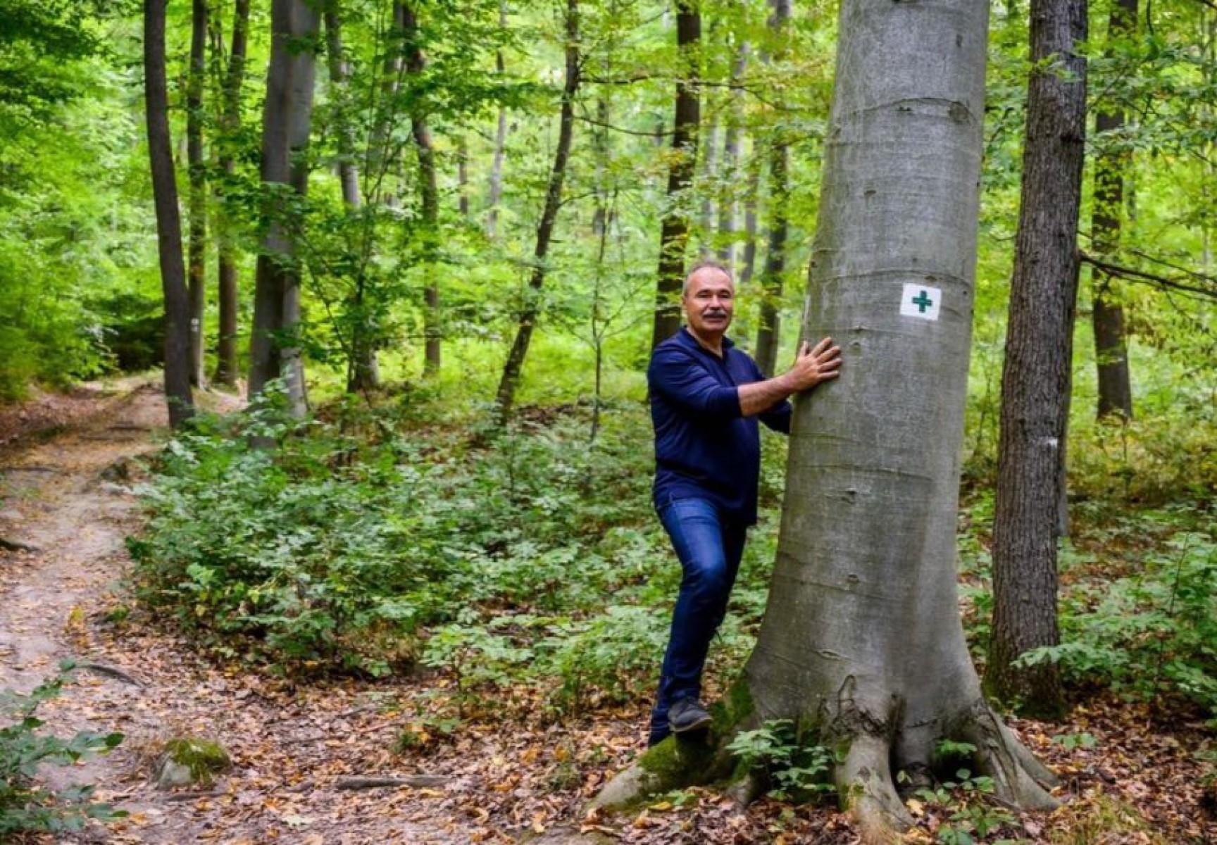 Ezt osztotta meg az agrárminiszter a hatósági áras tűzifáról