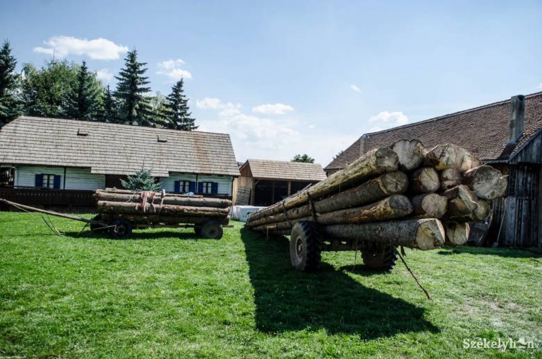 Nyolc hónap alatt 9000 környezetkárosító és erdészeti bűncselekmény Romániában