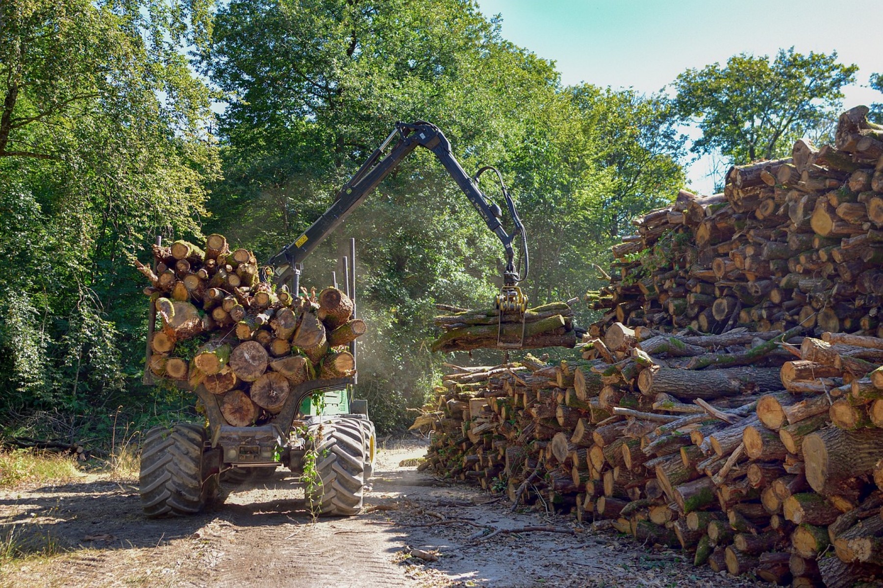 A támogatásokról informálódhatnak az erdőgazdálkodók a NAK online sorozatán