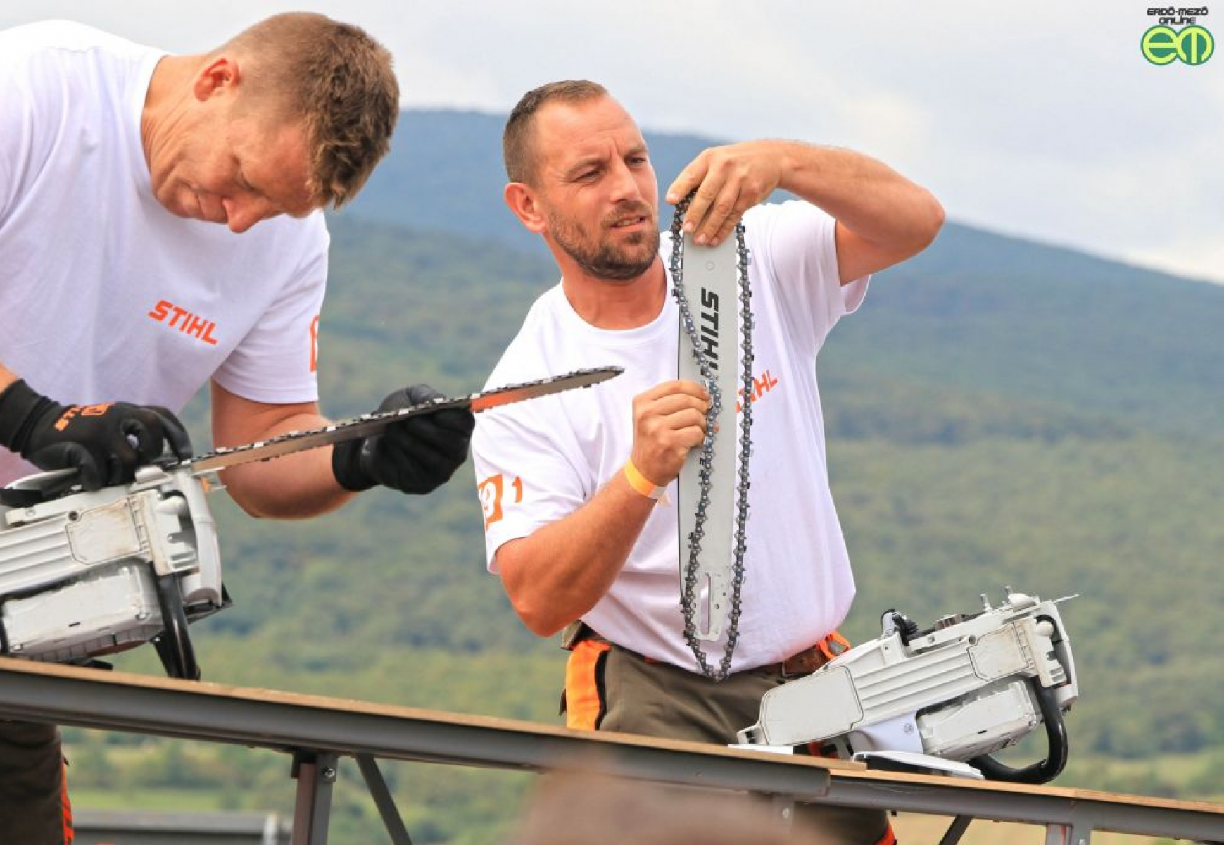 Császáron veszi kezdetét a STIHL fakitermelő verseny