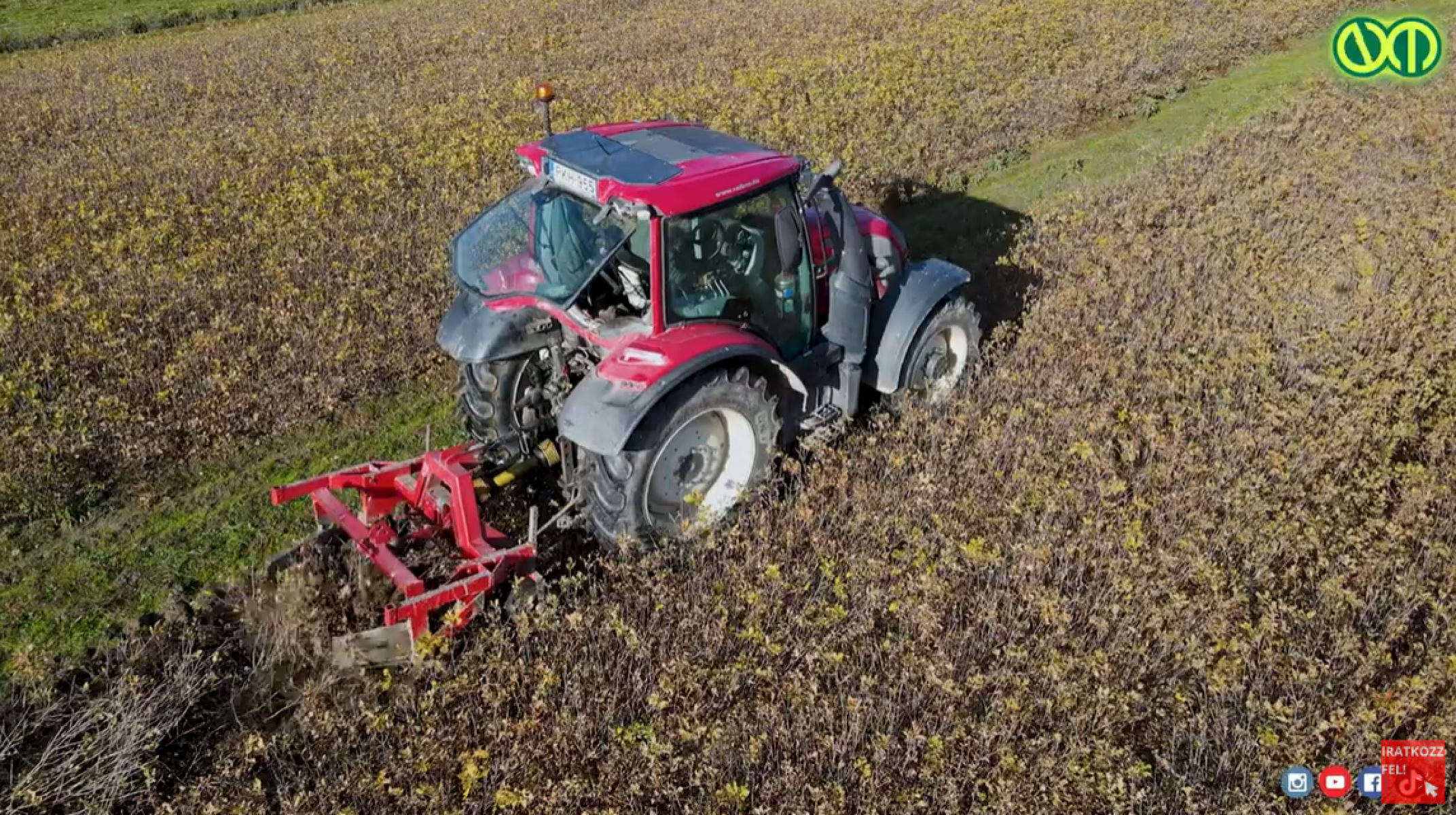 VIDEÓ: Új kihívásokat hozott a klímaváltozás az erdészeti csemetetermesztésben