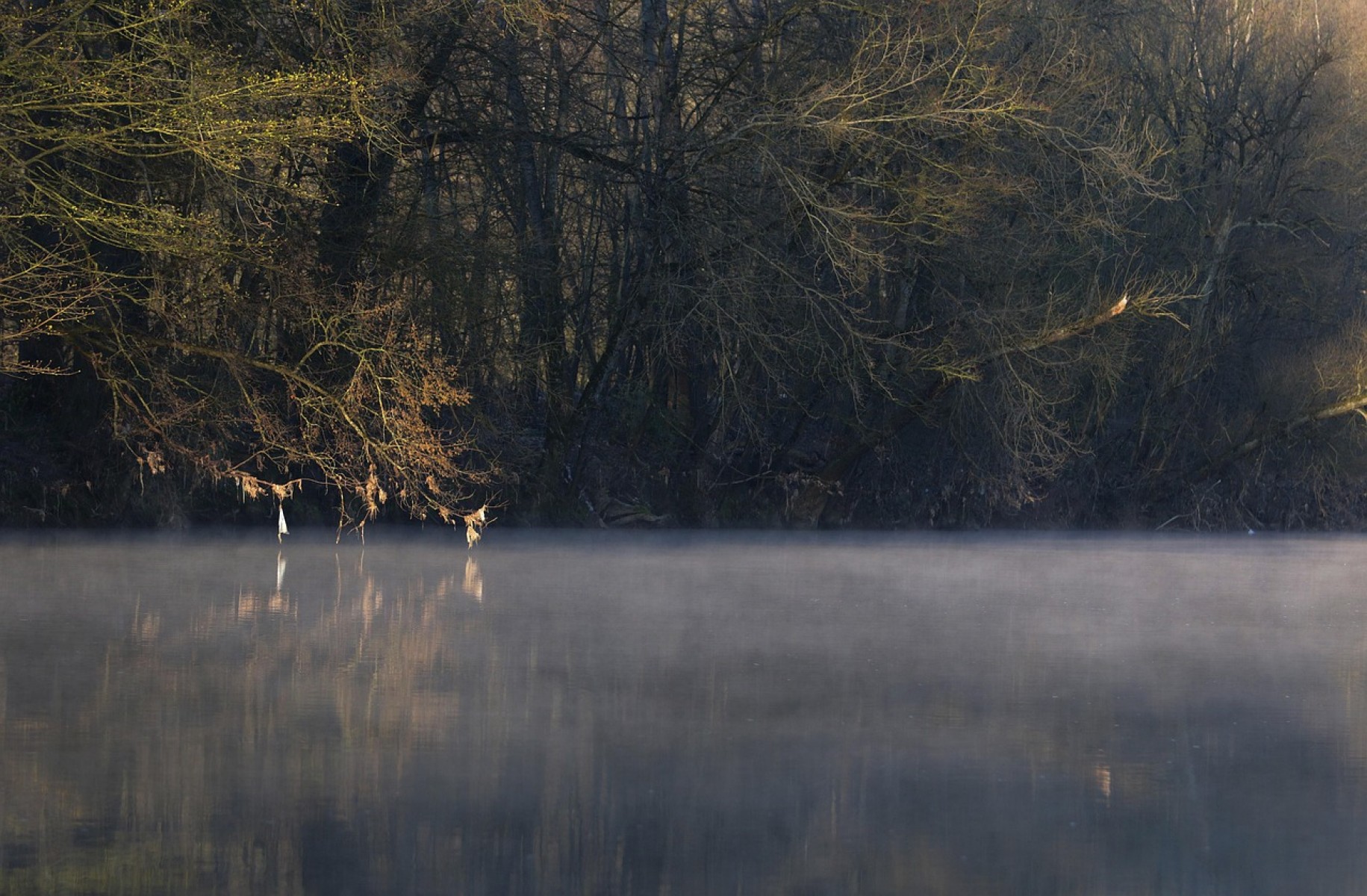 Szivattyús vízpótlással védekeznek a gemenci erdőben