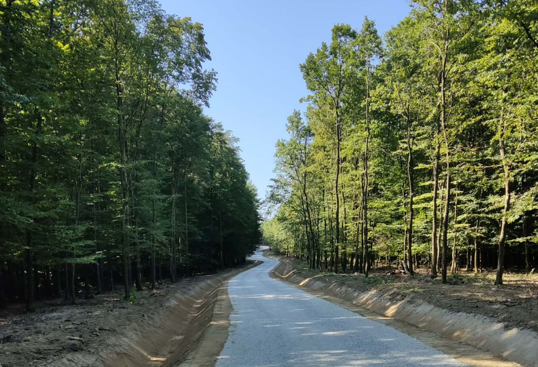 Erdészeti feltáróút építésére jelent meg pályázat a Zalaerdőnél 