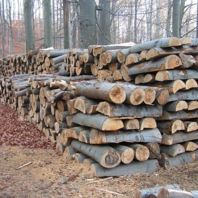 Meredeken drágul a tűzifa Romániában is, jöhet az ársapka