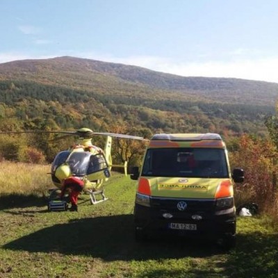 Helikopterrel és az erdész segítségével mentették meg a bajba jutott fakitermelőt