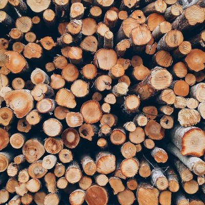 Majdnem hárommillió forint bírság tövénytelen fakitermelés miatt