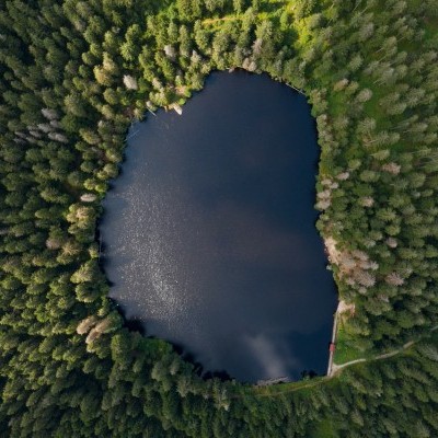Az erdők és a víz kapcsolata fontosabb, mint valaha