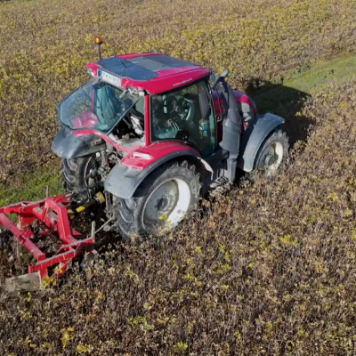 VIDEÓ: Új kihívásokat hozott a klímaváltozás az erdészeti csemetetermesztésben