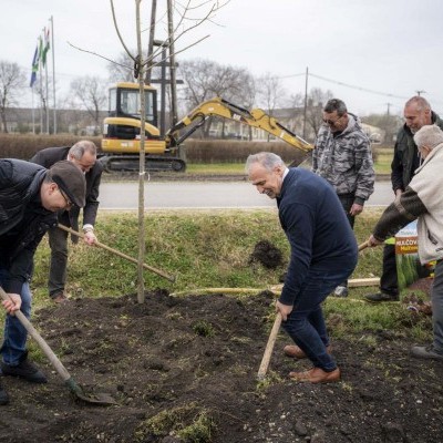 Elindult a településfásítási program tavaszi ültetési időszaka