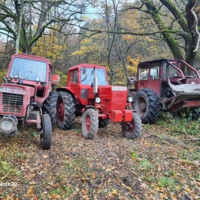 Sorakozó - Graholy László