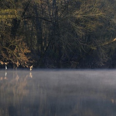 Szivattyús vízpótlással védekeznek a gemenci erdőben