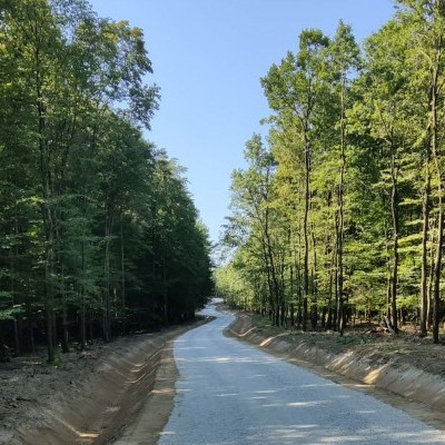 Erdészeti feltáróút építésére jelent meg pályázat a Zalaerdőnél 