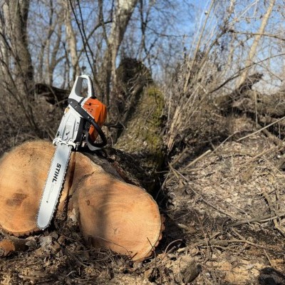 Bárány Botond munkája