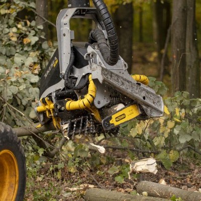 Erdőgazdálkodási beruházások támogatása - módosult a pályázat