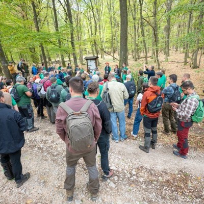 Nemzetközi konferencia: hazánk természetközeli erdőgazdálkodása a biodiverzitásért