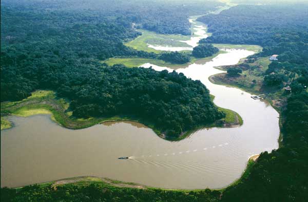 Az amazonasi erdő alkalmazkodik a klímaváltozáshoz 