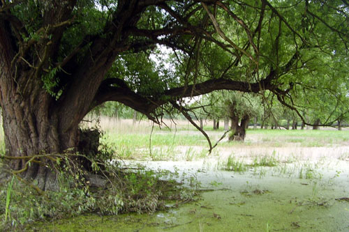 Az árvízre készülnek Tolna megyében