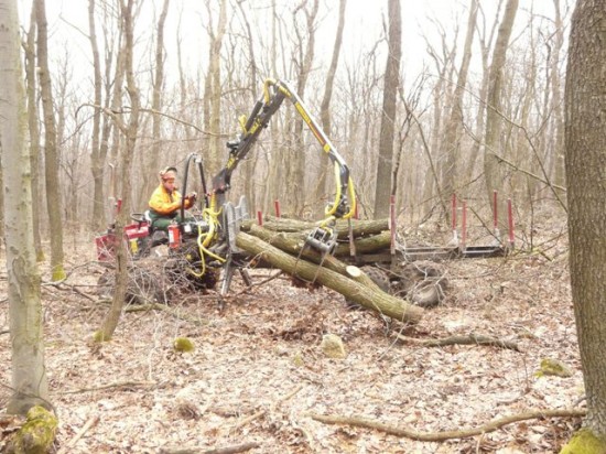 A Pilisi Parkerdőnél dolgozik Magyarországon elsőként az ALSTOR 820-as speciális erdészeti kihordó