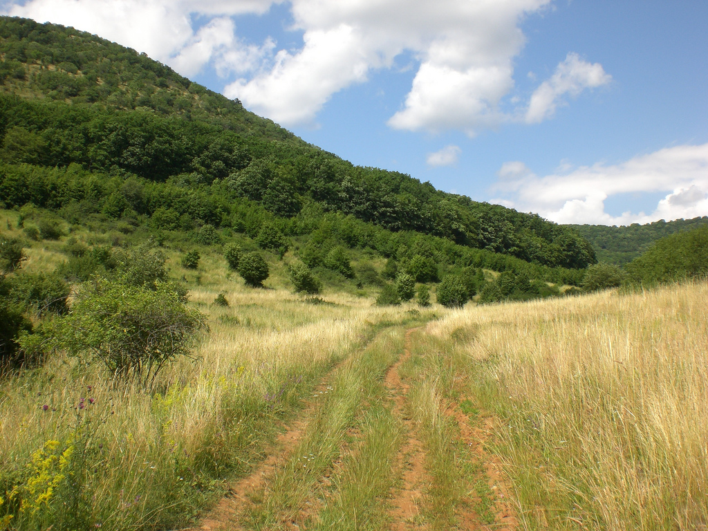 Természetvédelmi fejlesztés kezdődött az Aggteleki Nemzeti Parkban