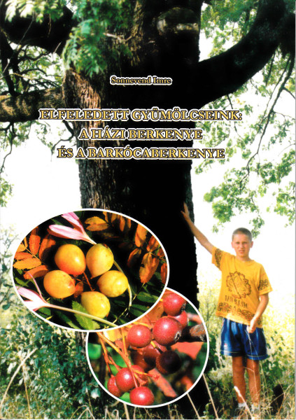 Elfeledett gyümölcseink: A háziberkenye és a barkócaberkenye (Könyvajánló)