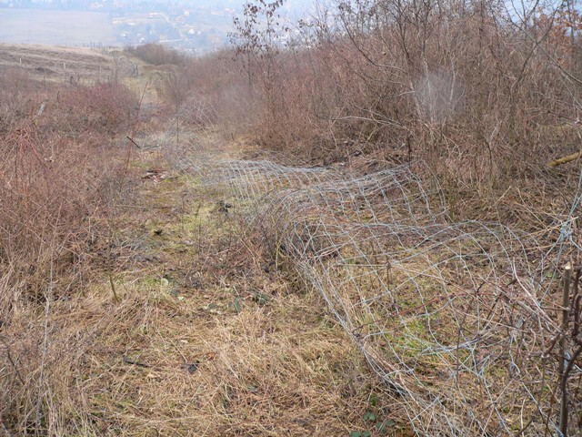 Pilis Parkerdő: sorozatosan rongálják az erdővédelmi kerítéseket Csobánka térségében