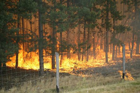 Új tűzoltó készülékekkel harcolhat az erdőtűz ellen a SEFAG
