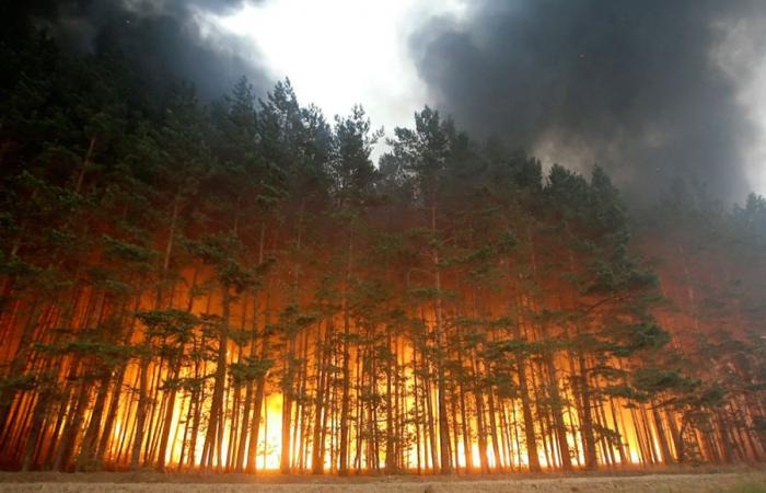 Több ezer hektáron pusztítanak az erdőtüzek Oroszországban