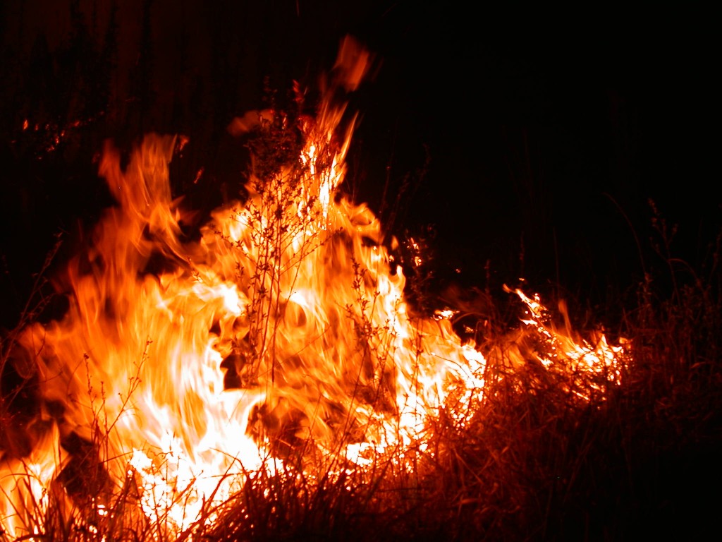 15 hektáron lángol az erdő Rinyaújnép közelében