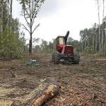 An idle tractor sits on a site of the planned highway, where trees have been felled in Khimki Forest near Moscow