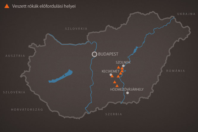 Veszett rókák előfordulási helyei Magyarországon 2013. szeptember-novemberében
Térkép alap: Kissorsa / DeviantArt