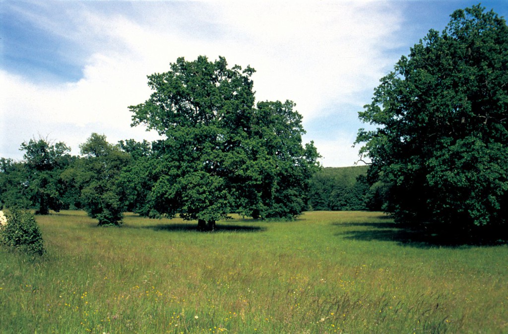 erdo_klima