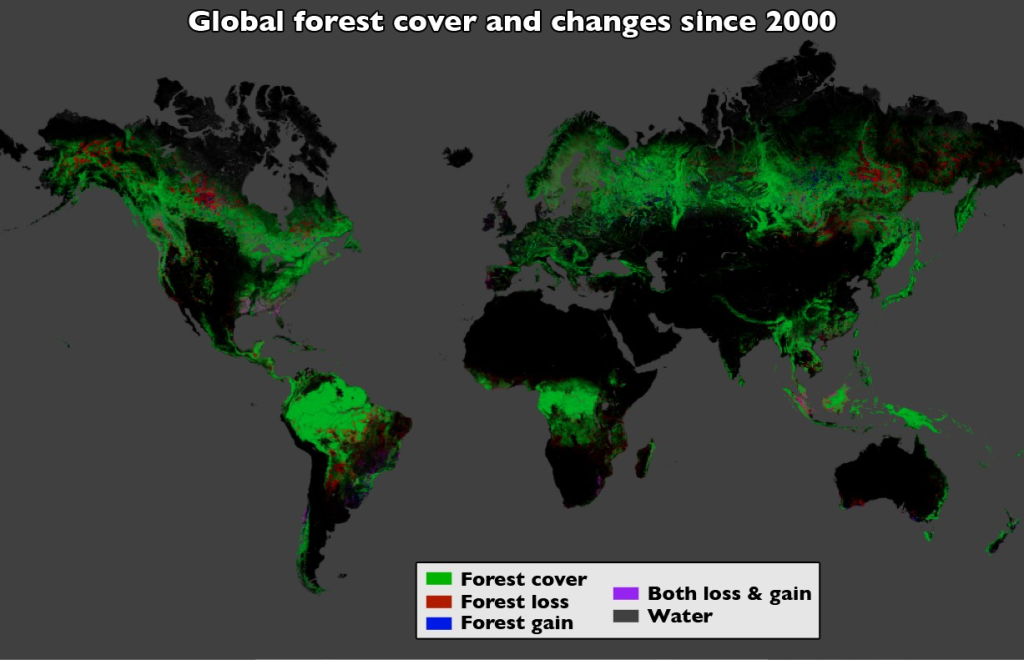 forest_cover_global.png.ashx