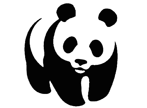 WWF: visszalépés lenne az erdőtörvény módosítása