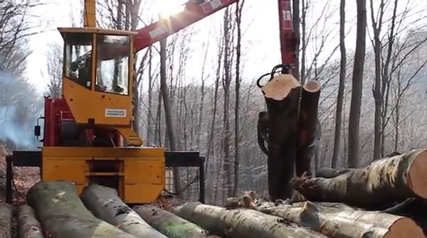 Kötélpályás módszerrel végez fakitermelést a Pilisi Parkerdő Zrt. (+VIDEÓ)
