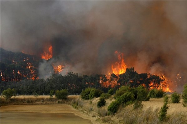 Hőhullámok, pusztító erdőtüzek - Minden idők legmelegebb éve volt a tavalyi Ausztráliában
