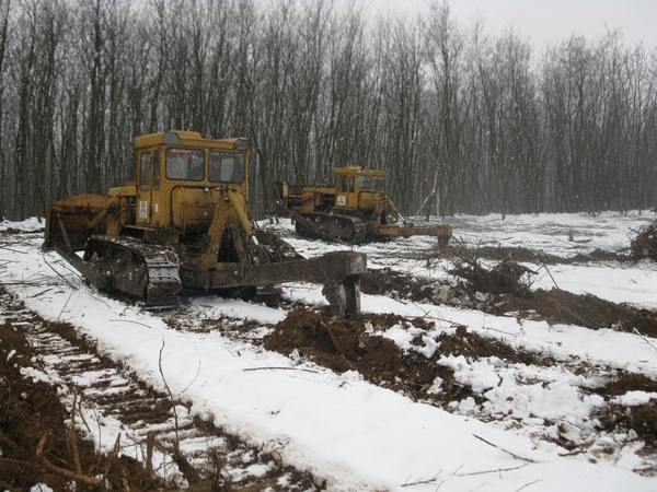 NEFAG pályázat erdőfelújítási munkálatokhoz kapcsolódó feladatokra