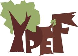 Újra nemzetközi erdészeti tanulmányi verseny - Fiatalok az Európai Erdőkben – YPEF 2014