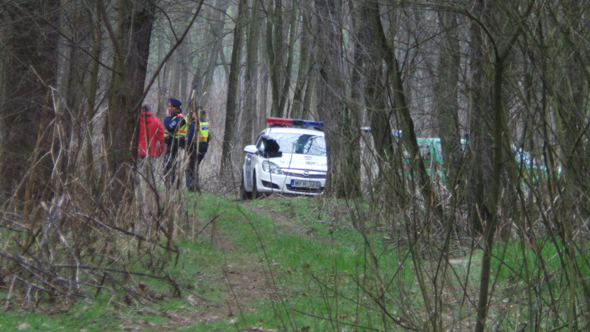Tragédia az erdőben - Munka közben fa dőlhetett a középkorú férfire