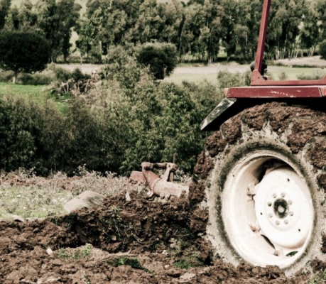 Rejtélyes erdei holttest a traktor előtt