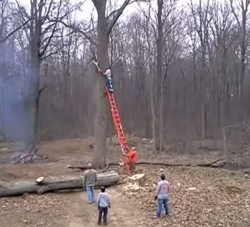 Visszaütött a fa, de túlélte - Megdöbbentő videó