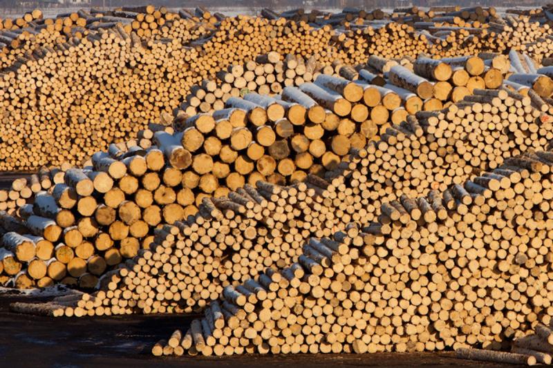 Hétfőig lehet véleményezni a rétyi fűrészüzem biomassza erőművének jóváhagyását 