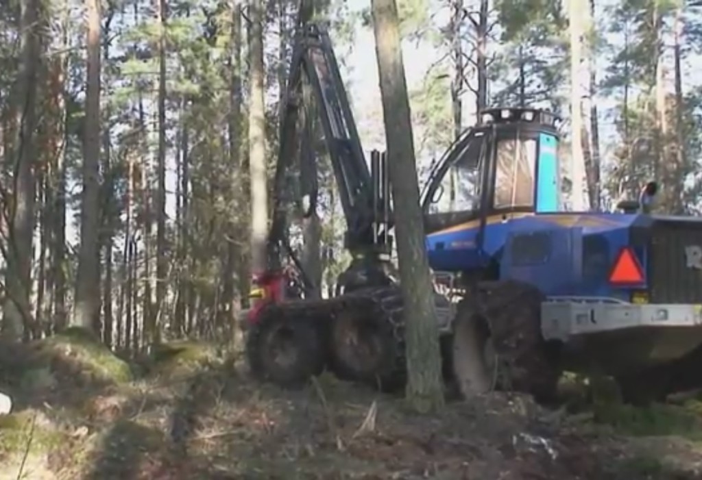 rottne_harvester