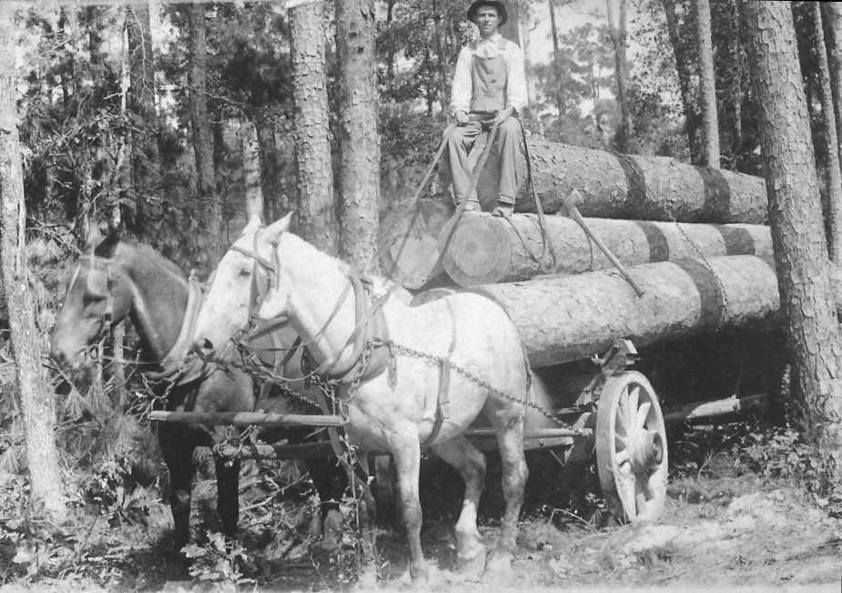 Fakitermelés fekete-fehérben - Archív erdészeti videók Amerikából