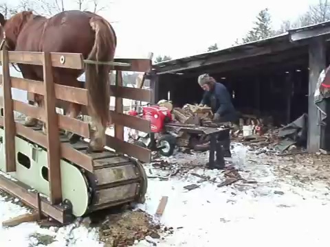 Rönkhasítás egyetlen ló segítségével (VIDEÓK)