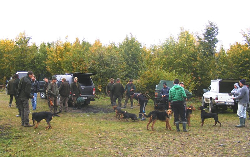 Medvehajtás Kovásznán – a helyzet komolyra fordult