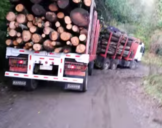 Így soha ne szállíts rönköt az erdei úton (VIDEÓ)