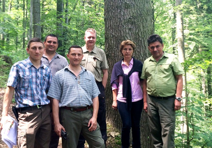 Forest Romania - Minden eddiginél nagyobb erdészeti kiállítás lesz Erdélyben