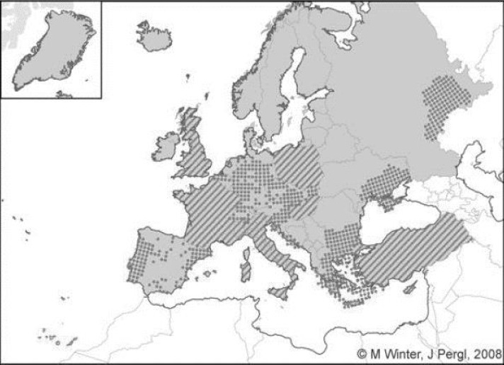 1. ábra: A bálványfa európai elterjedése
