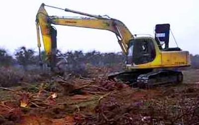 NEFAG: Ajánlatkérési felhívás erdőfelújítási munkálatokra 
