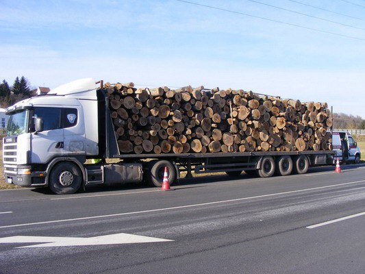 62 tonnás túlsúlyos rönkszállító kamiont kapcsoltak le Zalában (+KÉP)